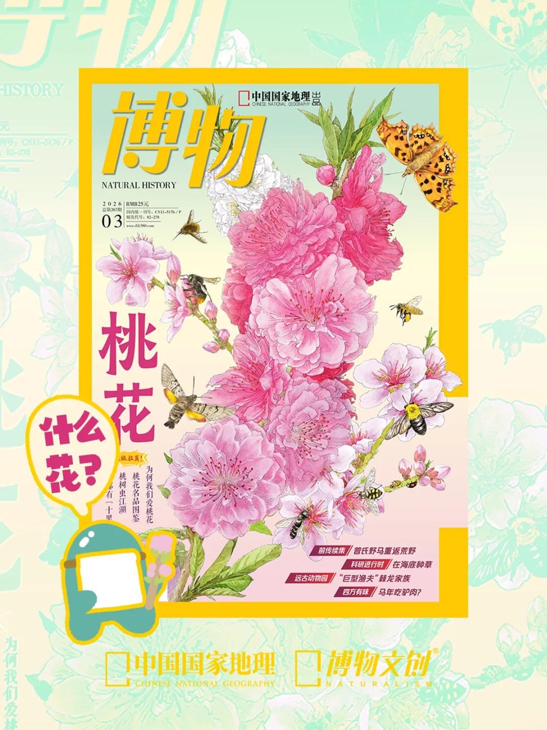 博物杂志 2026年3月刊 桃花