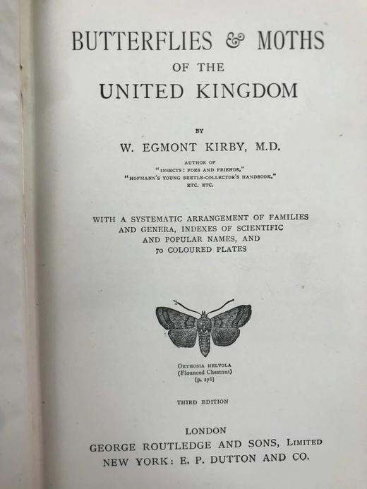 约20世纪早期 英国蝴蝶与蛾类图鉴 70页彩色插图 漆布精装大32开 商品图2