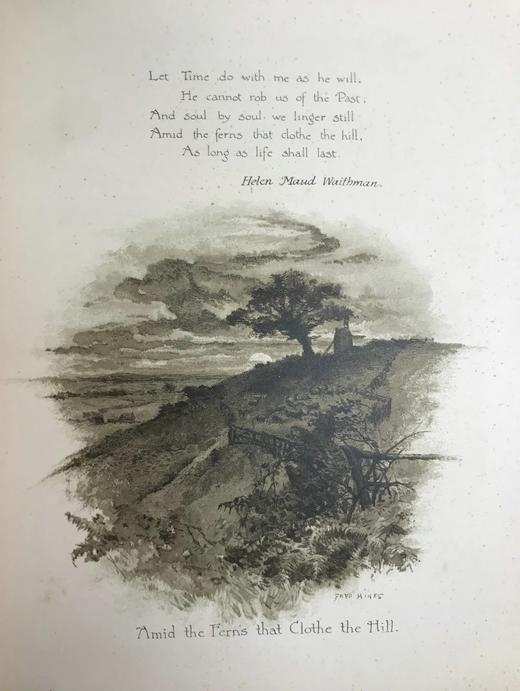 约19世纪后期 自然的触动及其他诗歌 17幅插图 漆布精装16开 商品图14