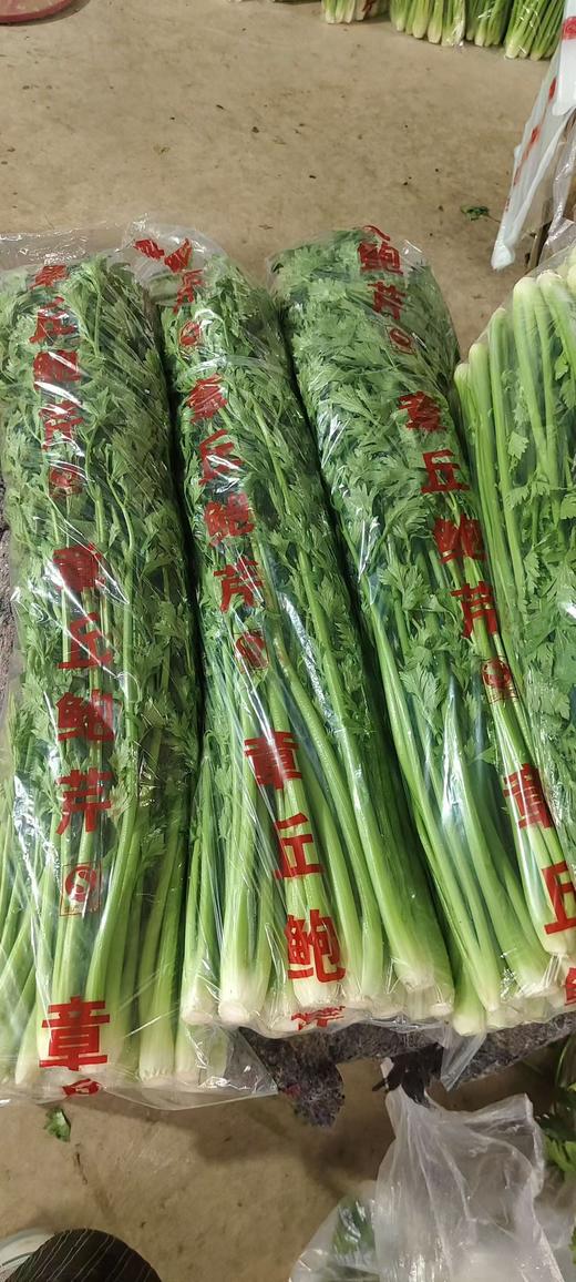 章丘鲍芹30斤 商品图5