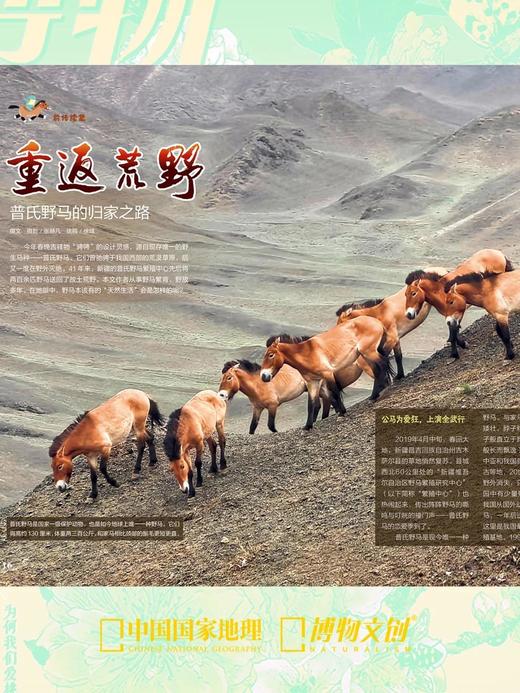 博物杂志 2026年3月刊 桃花 商品图4