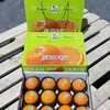 周三取货：【琥珀沃柑礼盒】一箱毛重8斤左右，甜蜜多汁！ 商品缩略图3