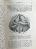 1910年 动物学纲要 420幅插图 漆布精装32开 商品缩略图6