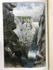 1900年 北方郡鸟类观察记录 1幅彩色40幅黑白插图 漆布精装32开 商品缩略图2