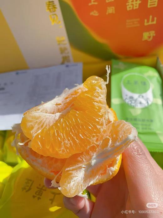 周三取货：【上菓佳春见礼盒】一箱毛重8斤左右，皮薄多汁，超嫩，超水！！ 商品图0