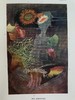 1903年 海滩生物图鉴 8页彩色300余幅黑白插图 漆布精装32开 商品缩略图5