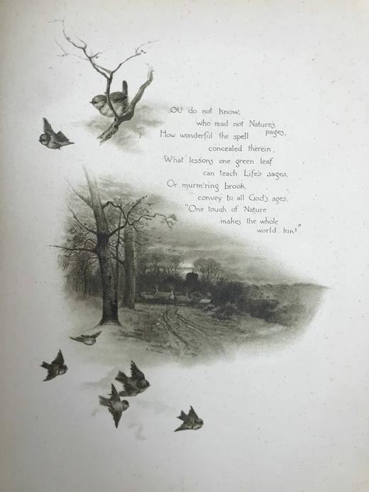 约19世纪后期 自然的触动及其他诗歌 17幅插图 漆布精装16开 商品图4