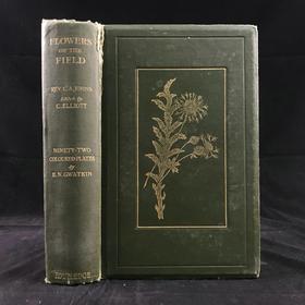 1909年 野外花卉图鉴 92幅彩色245幅黑白插图 漆布精装32开
