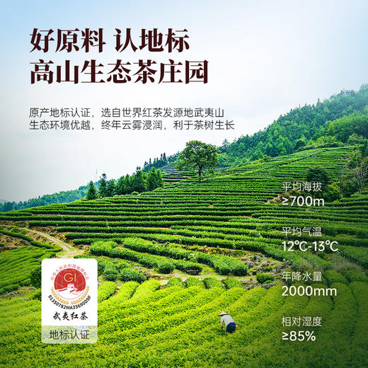 华祥苑-特级武夷红茶鸿运金骏眉300g瓷罐装 商品图3