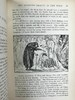 1889年 安德鲁·朗格《蓝色童话书》 数十幅精美插图 漆布精装32开 商品缩略图12