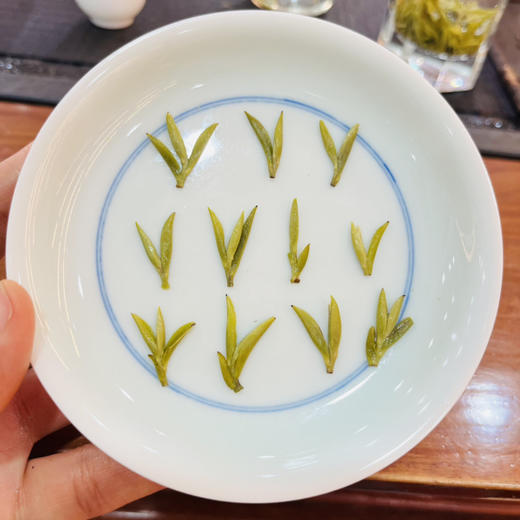 上新特惠！【李师姐私房茶/永川秀芽】重庆本地名茶/2026年头采/干茶甜香入心/胖胖小嫩芽/自饮装（约45g） 商品图1