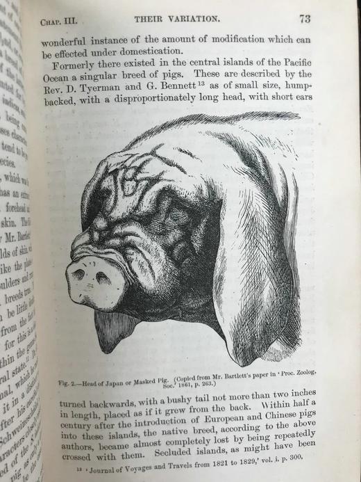 1875年 达尔文《动物和植物在家养下的变异》（全2卷） 43幅版画插图 真皮精装32开 商品图12