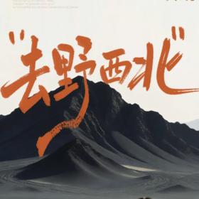 7天【去野！西北】青海湖/察尔汗盐湖/黑独山胭脂山/莫高窟/鸣沙山月牙泉/张掖七彩丹霞
