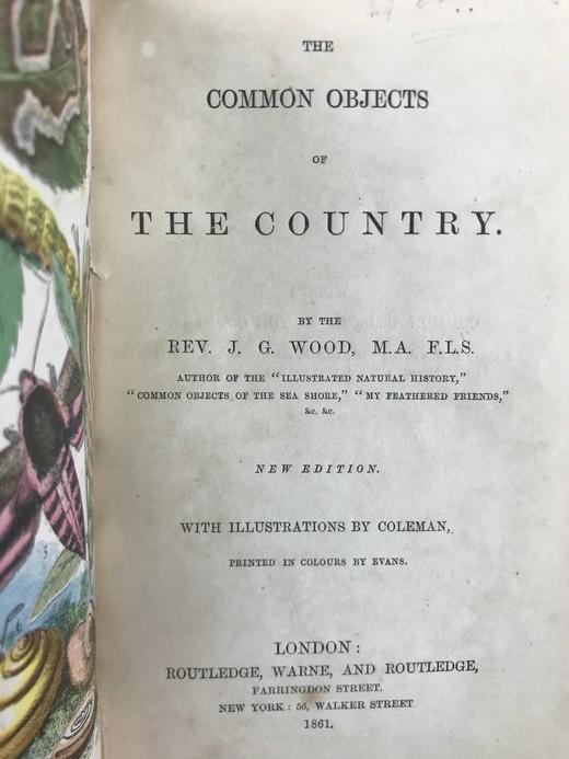 1861年 乡村常见事物图鉴 配多幅套色版画插图 漆布精装36开 商品图3