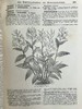 约19世纪后期 图解园艺词典（全4卷） 数百幅精美版画插图 漆布精装16开 商品缩略图12