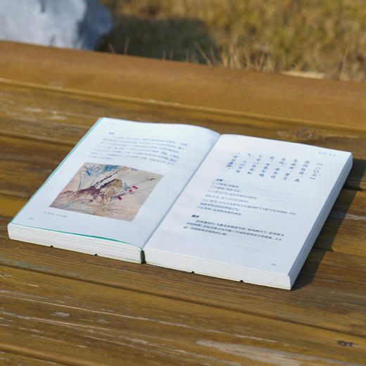 菜根谭（彩图本） 商品图3