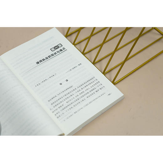 大模型时代的法律科技——从历史困局到平台跃迁 北京市金杜律师事务所法律科技团队著 法律出版社 商品图3