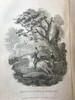 1824年 体育杂志：赛马、狩猎及其他趣味消遣活动月刊 数十幅版画擦图 真皮精装大32开 商品缩略图8