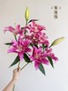 精品多头百合紫莲花3支 商品缩略图0