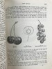 约19世纪后期 植物世界 476幅插图 全真皮精装32开 商品缩略图13