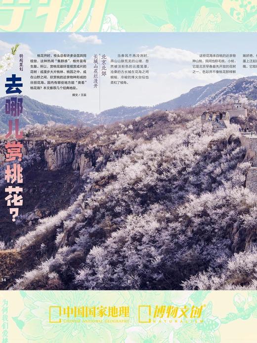 博物杂志 2026年3月刊 桃花 商品图5