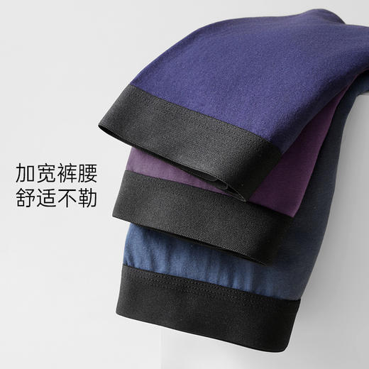 爱帝男士内裤5条装棉氨撞色平角裤 商品图4