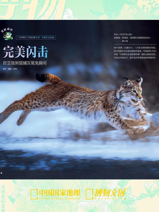 博物杂志 2026年3月刊 桃花 商品图2