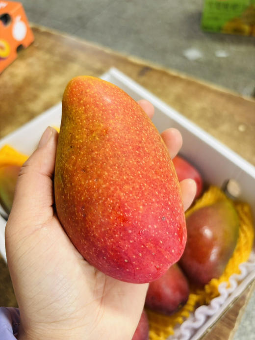 #空运贵妃芒#真正自然成熟，不打药不催熟，细腻香甜，皮薄肉厚，一口下去满满的阳光味道～ 商品图1