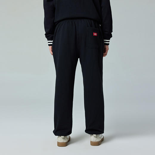 Dickies运动休闲裤男字母印花简约百搭舒适男士长裤束脚运动裤 DK0A87EB 商品图3