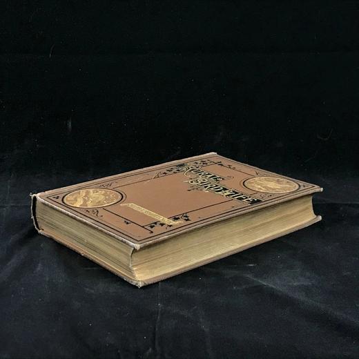 1882年 乡村鸟类生活 数十幅木版画插图 漆布精装32开 商品图1