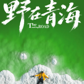 5天【野在青海】打卡网红察尔汗盐湖/青海湖/茶卡盐湖/水上雅丹/大柴旦翡翠湖/南八仙雅丹/天峻石林，逃离城市，一场全景视觉之旅！