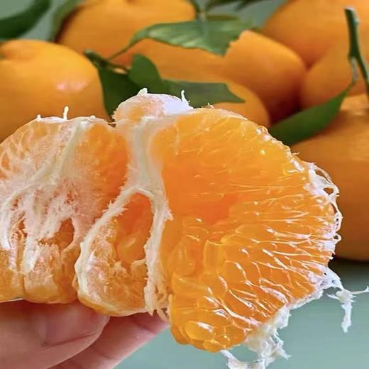 周三取货：【爆浆春见礼盒】一箱毛重8斤左右，果肉饱满，甜嫩多汁，好吃不上火！！！ 商品图10