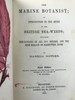 1853年 海洋植物学家：英国海藻研究入门 7页版画插图 真皮精装36开 商品缩略图3