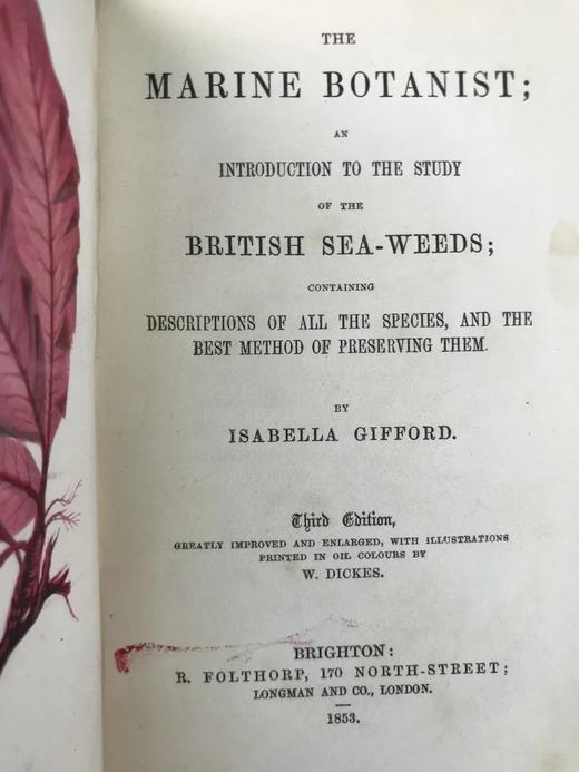 1853年 海洋植物学家：英国海藻研究入门 7页版画插图 真皮精装36开 商品图3