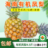 【厂商直发】海南有机凤梨台农17号树上熟金钻凤梨当季新鲜香甜多汁 商品缩略图0
