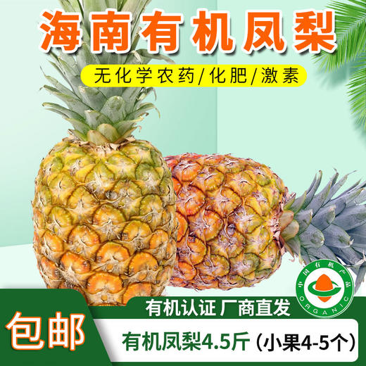 【厂商直发】海南有机凤梨台农17号树上熟金钻凤梨当季新鲜香甜多汁 商品图0