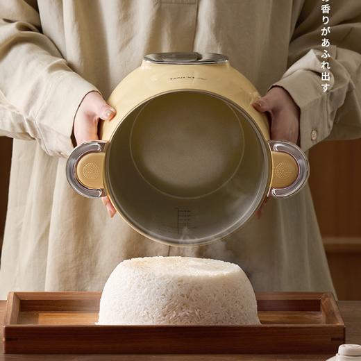 APIXINTL安本素-‌微压电饭煲 | 3L精致容量，满足2-4人食 商品图3