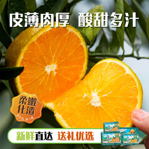 【京东快递】秭归宗橙（巧克力橙）皮薄娇嫩 产量小  14黄金甜 0.3%隐秘酸 100%视觉炸裂 - ACS 商品图7