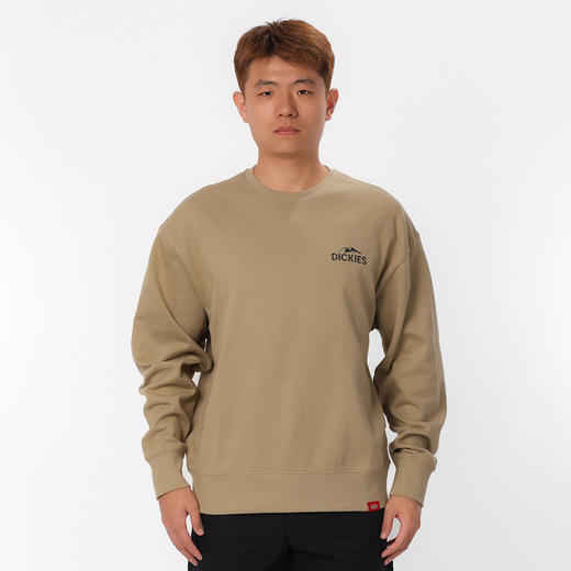 Dickies卫衣 时尚潮流小logo宽松版型纯棉圆领男式卫衣 DK0A87D 商品图5