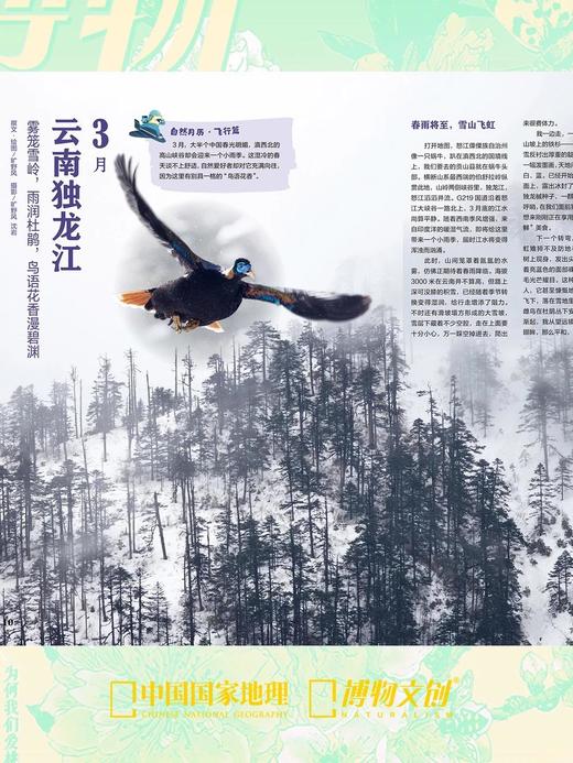 博物杂志 2026年3月刊 桃花 商品图3