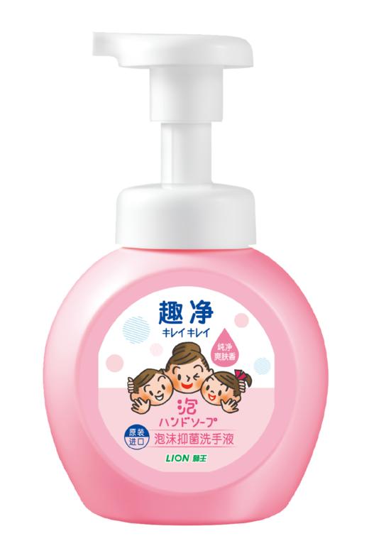 【临期品】E04003 趣净泡沫抑菌洗手液爽肤香250ml瓶装 商品图0