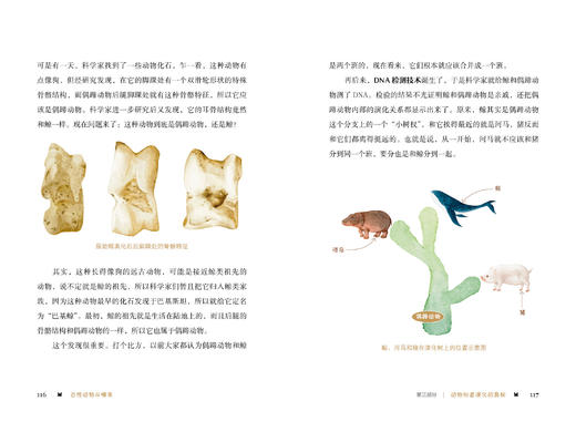《早知道生物这么有趣：课堂上学不到的生物学》（全3册） 商品图5