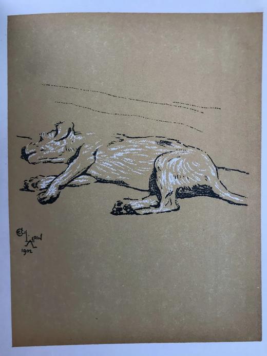 1921年 伊曼纽尔《小狗的一天》 塞西尔·奥尔丁精美插图 布脊精装36开 商品图13