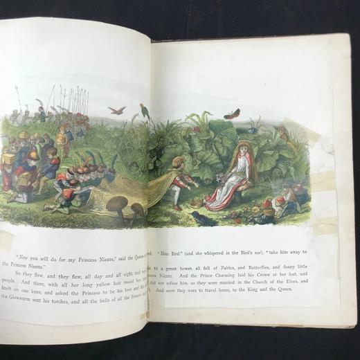【品相欠佳】约19世纪末 安德鲁·朗格《无名公主：仙境传奇》 理查德·道尔彩色插图 布脊精装18开 商品图4