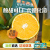 【京东快递】秭归宗橙（巧克力橙）皮薄娇嫩 产量小  14黄金甜 0.3%隐秘酸 100%视觉炸裂 - ACS 商品缩略图0