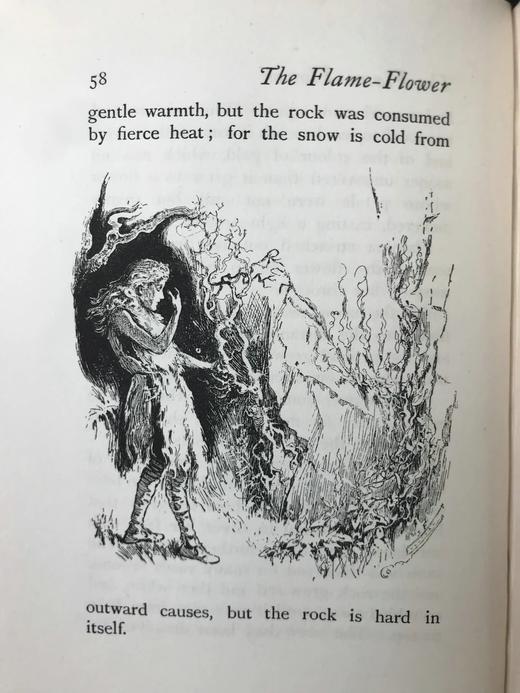 1896年 苏利文《火焰花及其他故事》 作者亲绘约百幅插图 漆布精装32开 商品图11