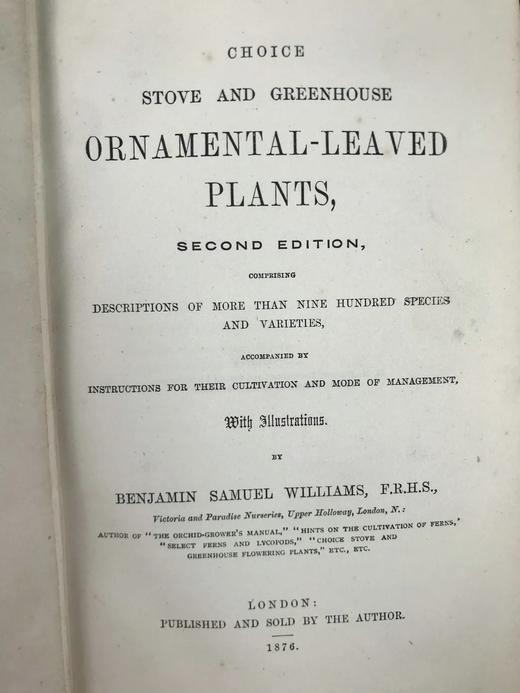 1876年 温室与暖房观叶植物 数十幅版画插图 漆布精装32开 商品图3