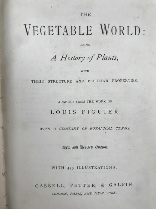 约19世纪后期 植物世界 476幅插图 全真皮精装32开 商品图3
