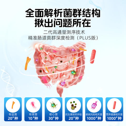 【健康方案】【肠道养护计划 | 精准Plus版】精准肠道菌群检测+精准产品干预+国家营养师1对1指导，适合你个人的全闭环精准肠道养护方案！ 商品图2