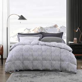 【春上新】10楼宜庭 梅森暖柔波兰进口春秋鹅绒被  吊牌价19800-23800元 活动价3999-4999元